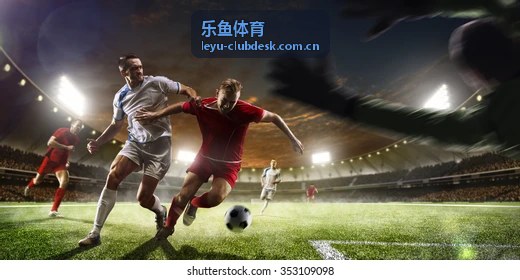 乐鱼体育赛事观赛指南封面